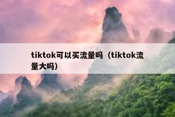 tiktok可以买流量吗（tiktok流量大吗） 第1张