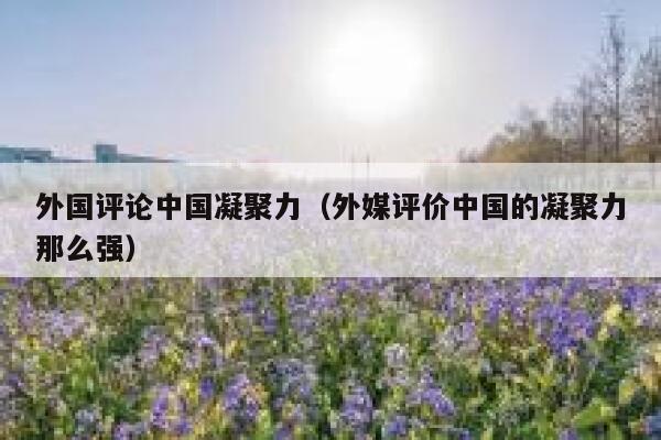 外国评论中国凝聚力（外媒评价中国的凝聚力那么强） 第1张