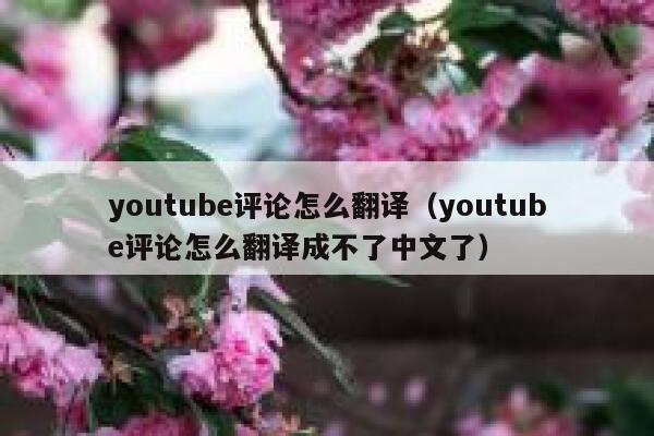 youtube评论怎么翻译(youtube评论怎么翻译成不了中文了) 第1张 youtube评论怎么翻译(youtube评论怎么翻译成不了中文了) 第1张