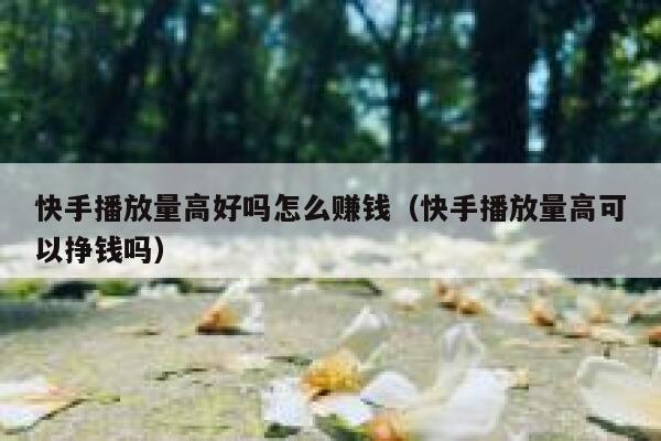 快手播放量高好吗怎么赚钱（快手播放量高可以挣钱吗） 第1张