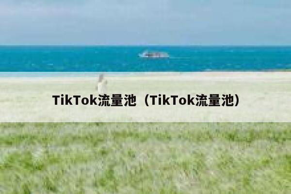 TikTok流量池(TikTok流量池) 第1张 TikTok流量池(TikTok流量池) 第1张