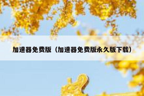 加速器免费版（加速器免费版永久版下载） 第1张