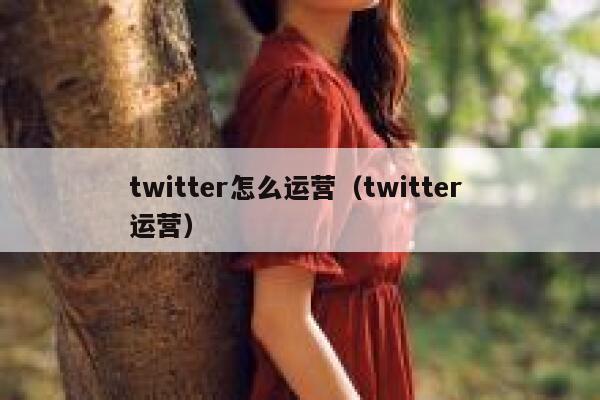 twitter怎么运营（twitter 运营） 第1张