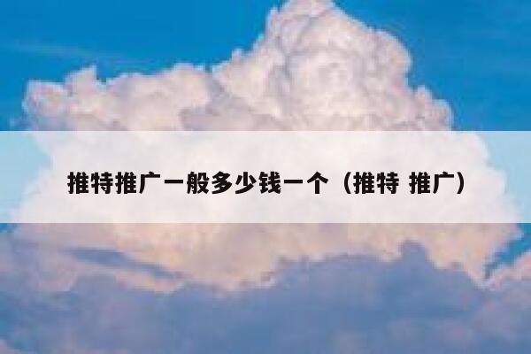 推特推广一般多少钱一个（推特 推广） 第1张