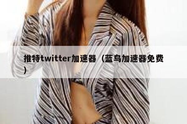 推特twitter加速器（蓝鸟加速器免费） 第1张