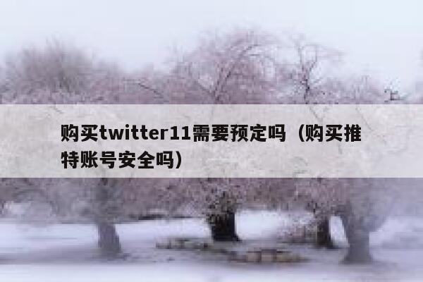 购买twitter11需要预定吗(购买推特账号安全吗) 第1张 购买twitter11需要预定吗(购买推特账号安全吗) 第1张