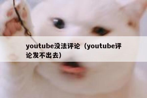 youtube没法评论(youtube评论发不出去) 第1张 youtube没法评论(youtube评论发不出去) 第1张