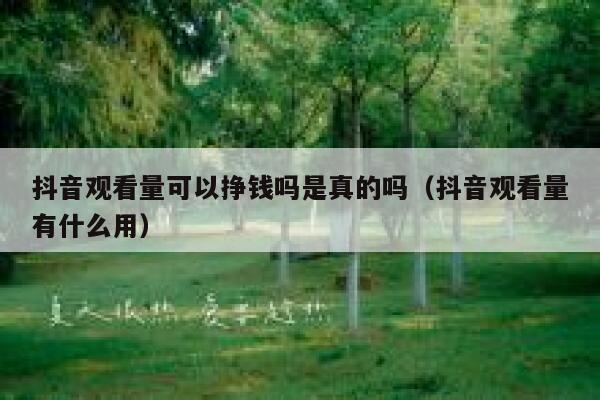 抖音观看量可以挣钱吗是真的吗（抖音观看量有什么用） 第1张