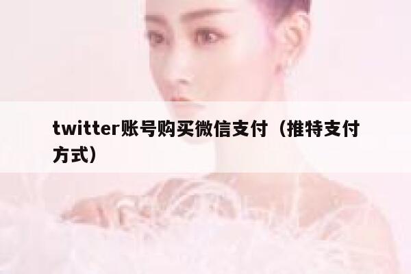 twitter账号购买微信支付（推特支付方式） 第1张