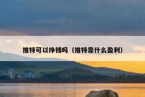 推特可以挣钱吗（推特靠什么盈利） 第1张