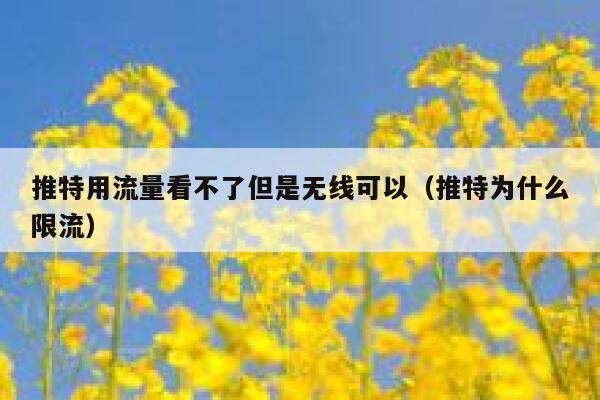 推特用流量看不了但是无线可以（推特为什么限流） 第1张