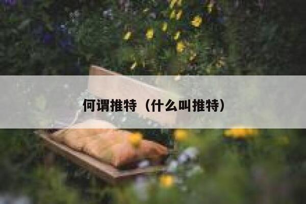 何谓推特（什么叫推特） 第1张
