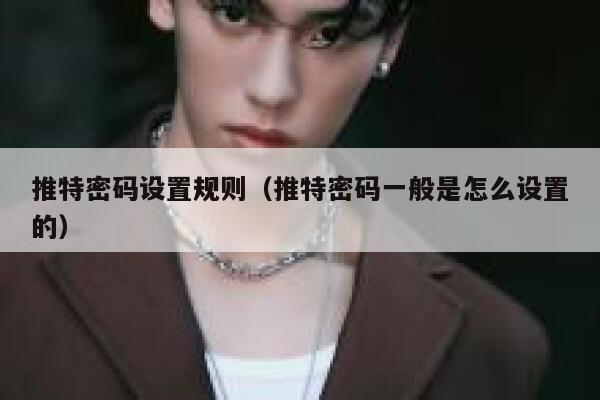 推特密码设置规则（推特密码一般是怎么设置的） 第1张