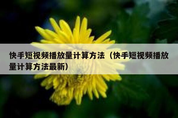 快手短视频播放量计算方法（快手短视频播放量计算方法最新） 第1张