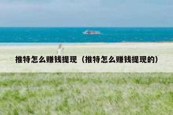 推特怎么赚钱提现(推特怎么赚钱提现的) 第1张 推特怎么赚钱提现(推特怎么赚钱提现的) 第1张