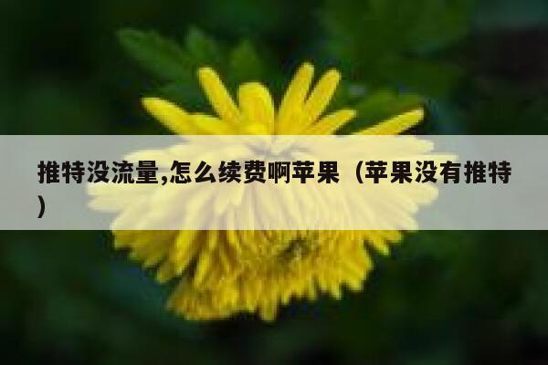 推特没流量,怎么续费啊苹果(苹果没有推特) 第1张 推特没流量,怎么续费啊苹果(苹果没有推特) 第1张