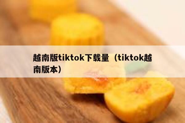 越南版tiktok下载量（tiktok越南版本） 第1张