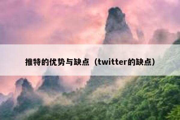 推特的优势与缺点（twitter的缺点） 第1张