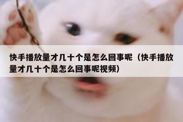 快手播放量才几十个是怎么回事呢（快手播放量才几十个是怎么回事呢视频） 第1张