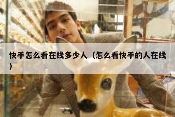 快手怎么看在线多少人（怎么看快手的人在线） 第1张