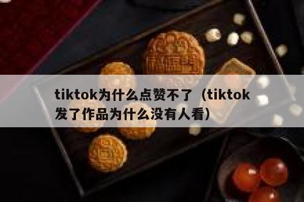 tiktok为什么点赞不了（tiktok发了作品为什么没有人看） 第1张