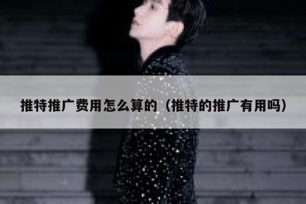 推特推广费用怎么算的(推特的推广有用吗) 第1张 推特推广费用怎么算的(推特的推广有用吗) 第1张
