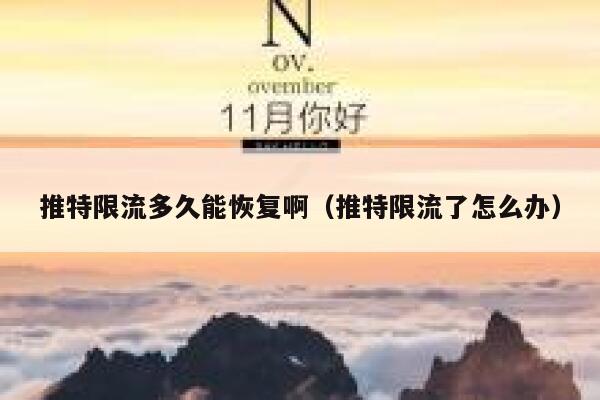 推特限流多久能恢复啊(推特限流了怎么办) 第1张 推特限流多久能恢复啊(推特限流了怎么办) 第1张