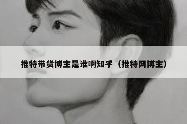 推特带货博主是谁啊知乎（推特网博主） 第1张