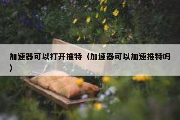 加速器可以打开推特（加速器可以加速推特吗） 第1张