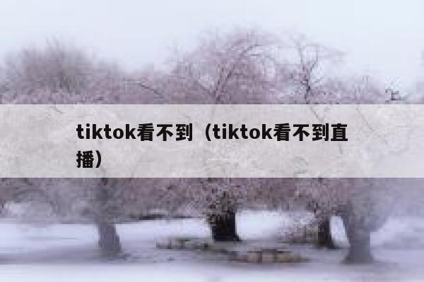 tiktok看不到（tiktok看不到直播） 第1张