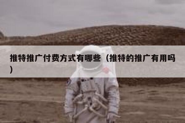 推特推广付费方式有哪些（推特的推广有用吗） 第1张