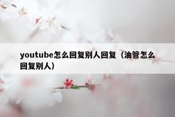youtube怎么回复别人回复（油管怎么回复别人） 第1张