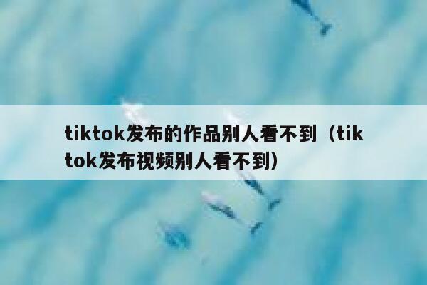 tiktok发布的作品别人看不到（tiktok发布视频别人看不到） 第1张