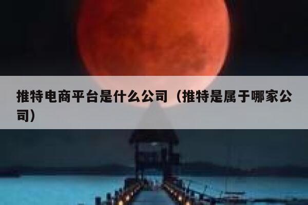 推特电商平台是什么公司（推特是属于哪家公司） 第1张