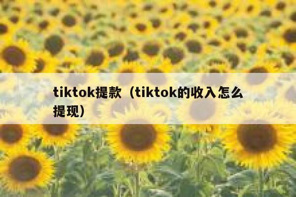 tiktok提款（tiktok的收入怎么提现） 第1张