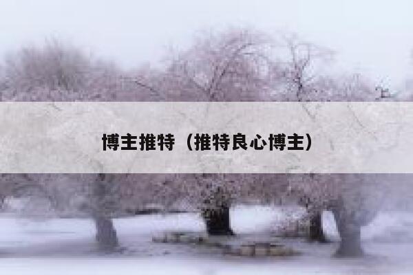 博主推特（推特良心博主） 第1张