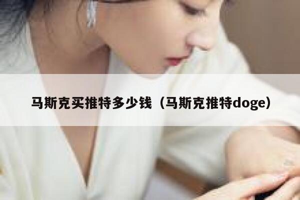 马斯克买推特多少钱（马斯克推特doge） 第1张