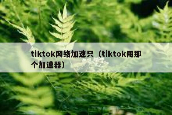 tiktok网络加速只（tiktok用那个加速器） 第1张