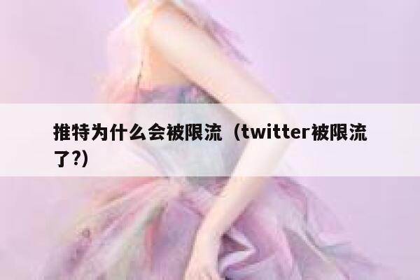 推特为什么会被限流（twitter被限流了?） 第1张