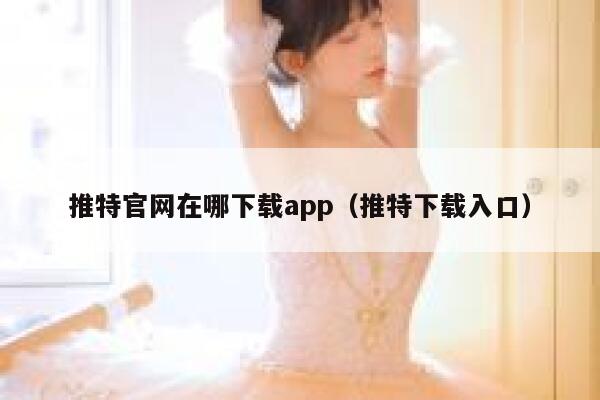 推特官网在哪下载app（推特下载入口） 第1张