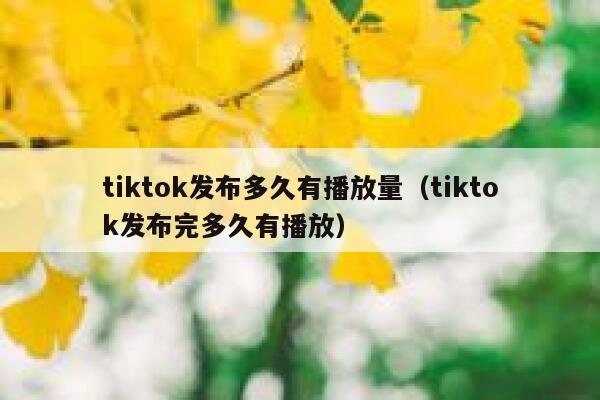 tiktok发布多久有播放量（tiktok发布完多久有播放） 第1张