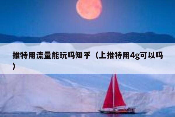 推特用流量能玩吗知乎（上推特用4g可以吗） 第1张