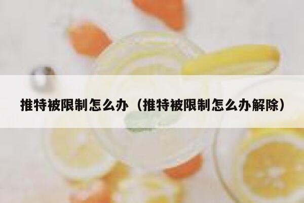 推特被限制怎么办（推特被限制怎么办解除） 第1张