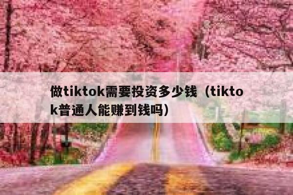 做tiktok需要投资多少钱(tiktok普通人能赚到钱吗) 第1张 做tiktok需要投资多少钱(tiktok普通人能赚到钱吗) 第1张