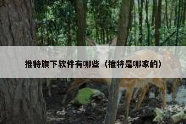 推特旗下软件有哪些（推特是哪家的） 第1张