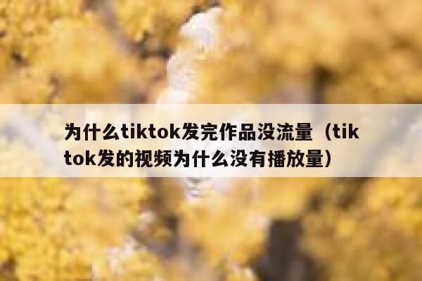 为什么tiktok发完作品没流量(tiktok发的视频为什么没有播放量) 第1张 为什么tiktok发完作品没流量(tiktok发的视频为什么没有播放量) 第1张