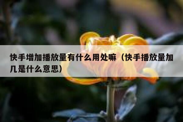 快手增加播放量有什么用处嘛(快手播放量加几是什么意思) 第1张 快手增加播放量有什么用处嘛(快手播放量加几是什么意思) 第1张