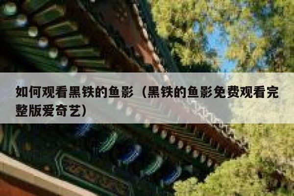 如何观看黑铁的鱼影（黑铁的鱼影免费观看完整版爱奇艺） 第1张