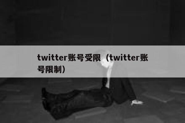 twitter账号受限（twitter账号限制） 第1张