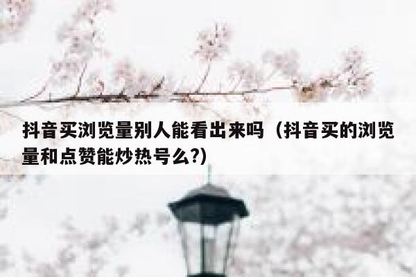 抖音买浏览量别人能看出来吗（抖音买的浏览量和点赞能炒热号么?） 第1张